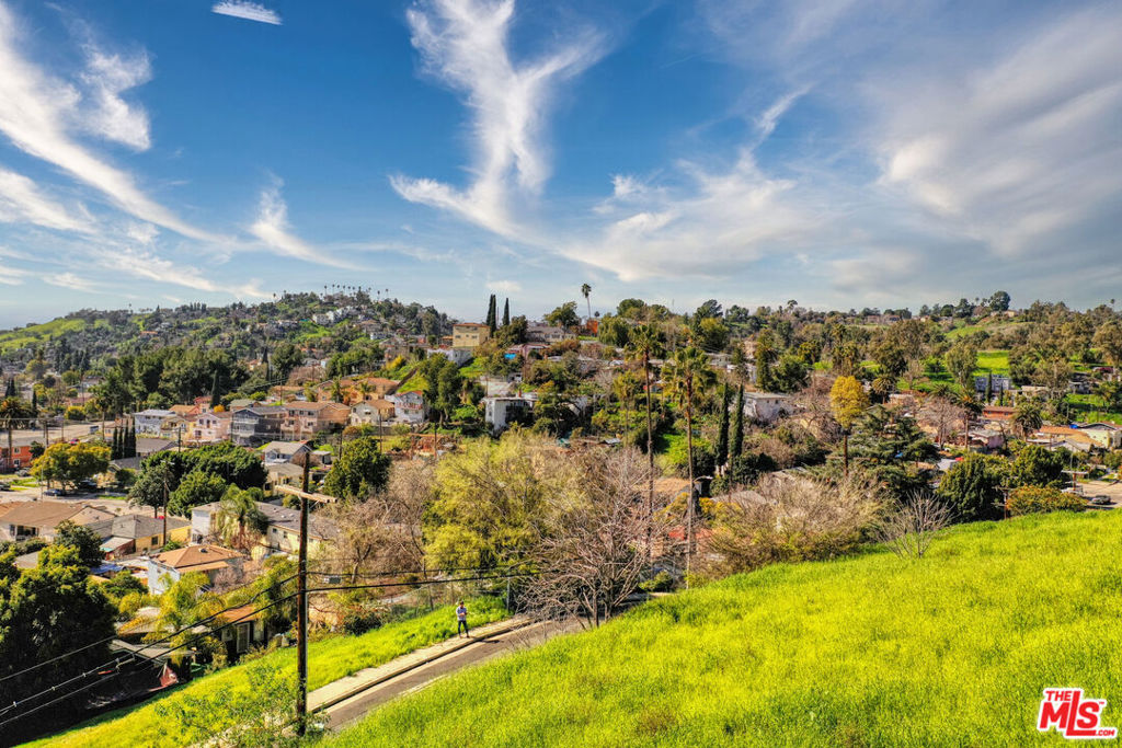 4619 Cassatt Property Photo 19
