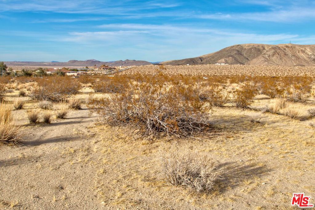 6658 El Rey Avenue Property Photo 16