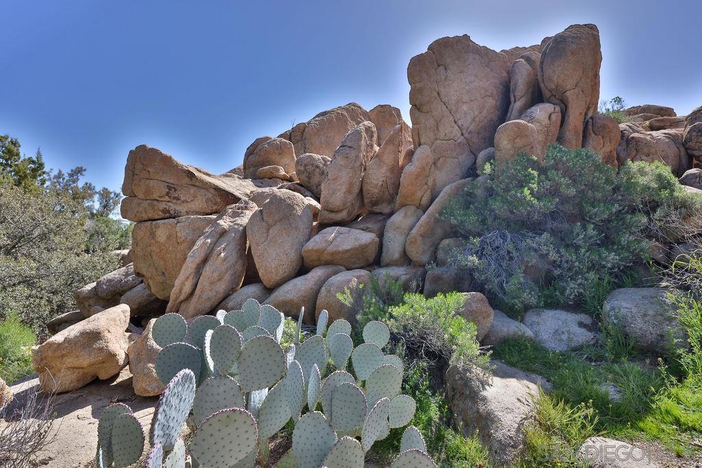 Desert View Tower & 3 Homes Property Photo 9