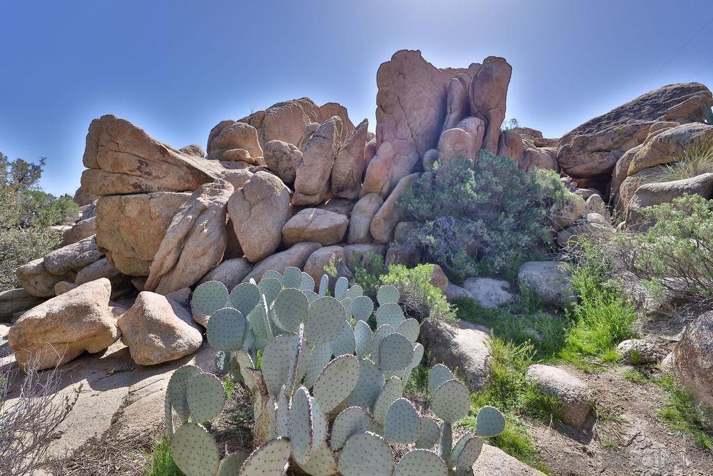 Desert View Tower & 3 Homes Property Photo 41
