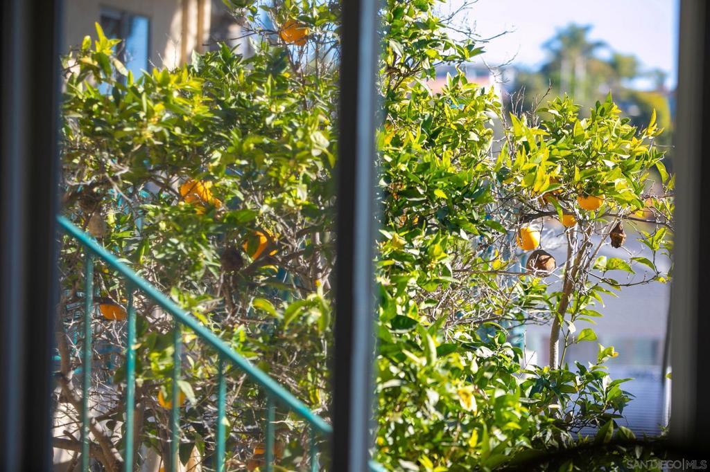 210 A Street S 11 Property Photo 16