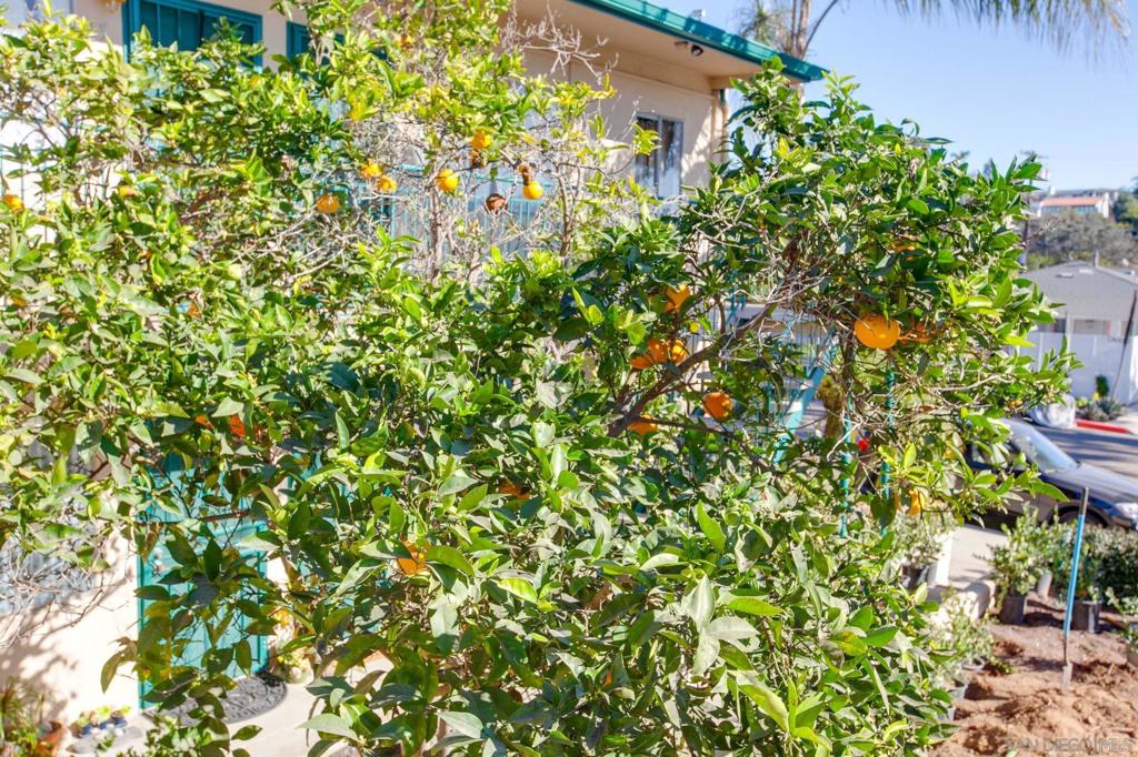 210 A Street S 11 Property Photo 18