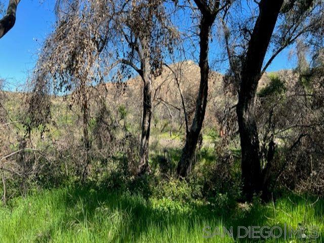 Bunny Dr. Property Photo 31