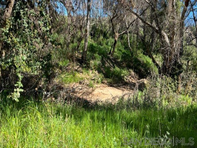 Bunny Dr. Property Photo 33