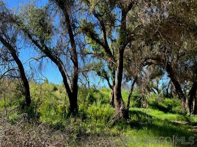 Bunny Dr. Property Photo 34
