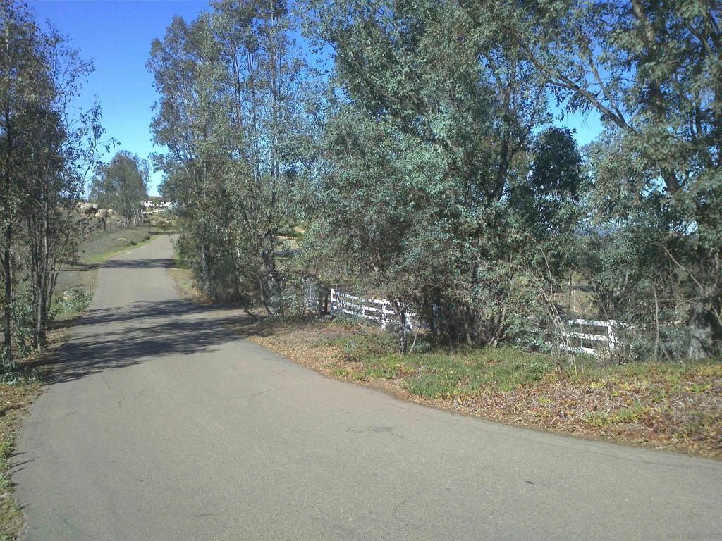 15348 Running Deer Trail Property Photo 6