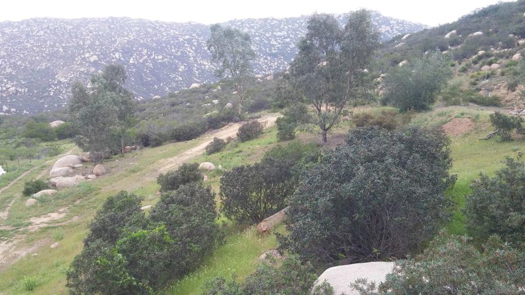 15348 Running Deer Trail Property Photo 39