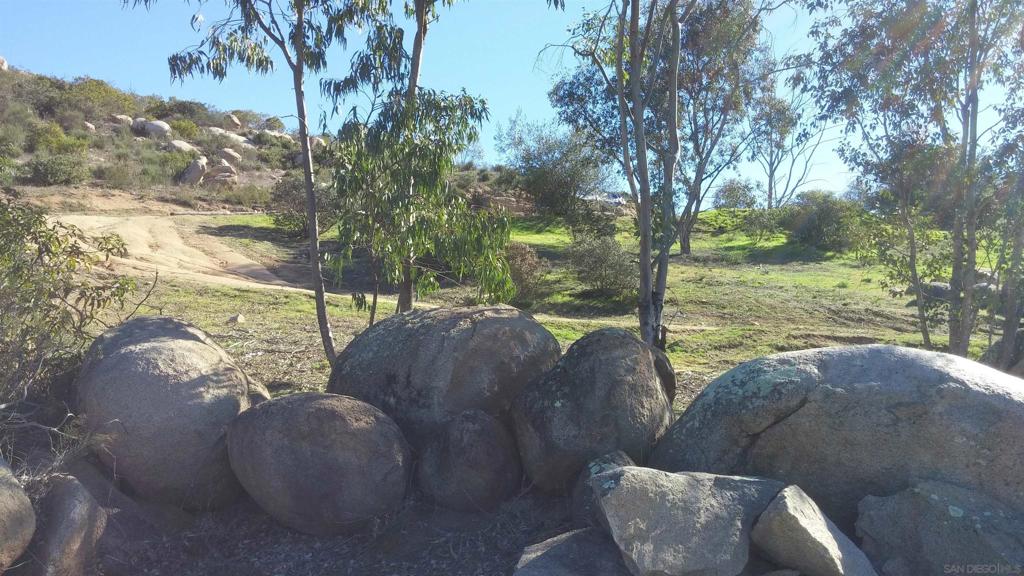 15348 Running Deer Trail Property Photo 41