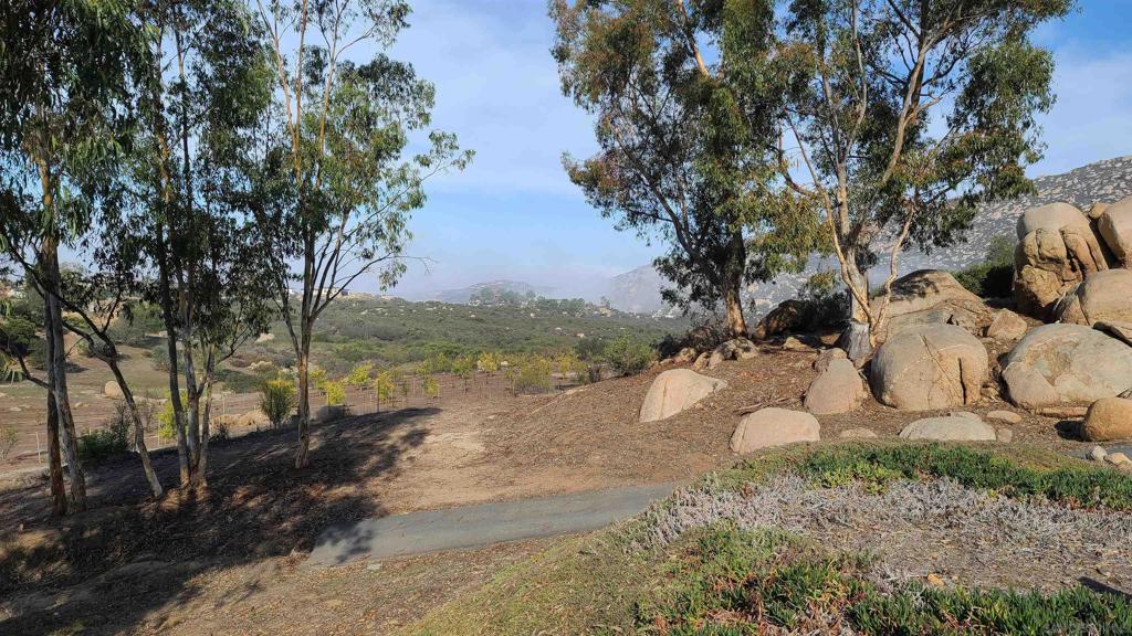 15348 Running Deer Trail Property Photo 47