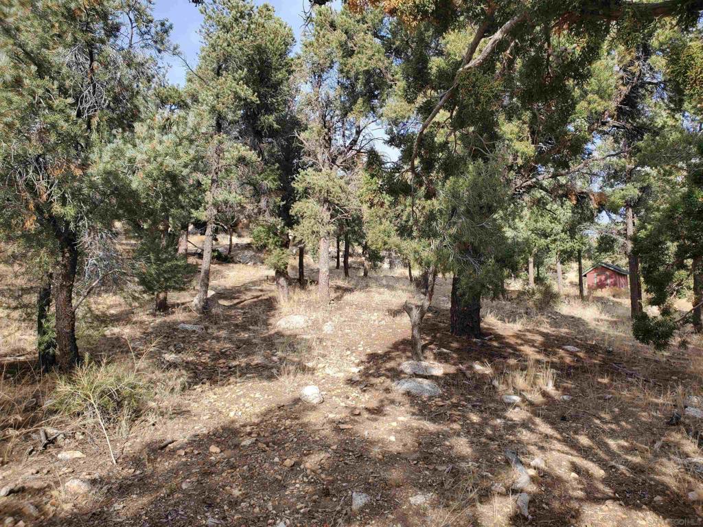 Lakeview Drive Property Photo 5