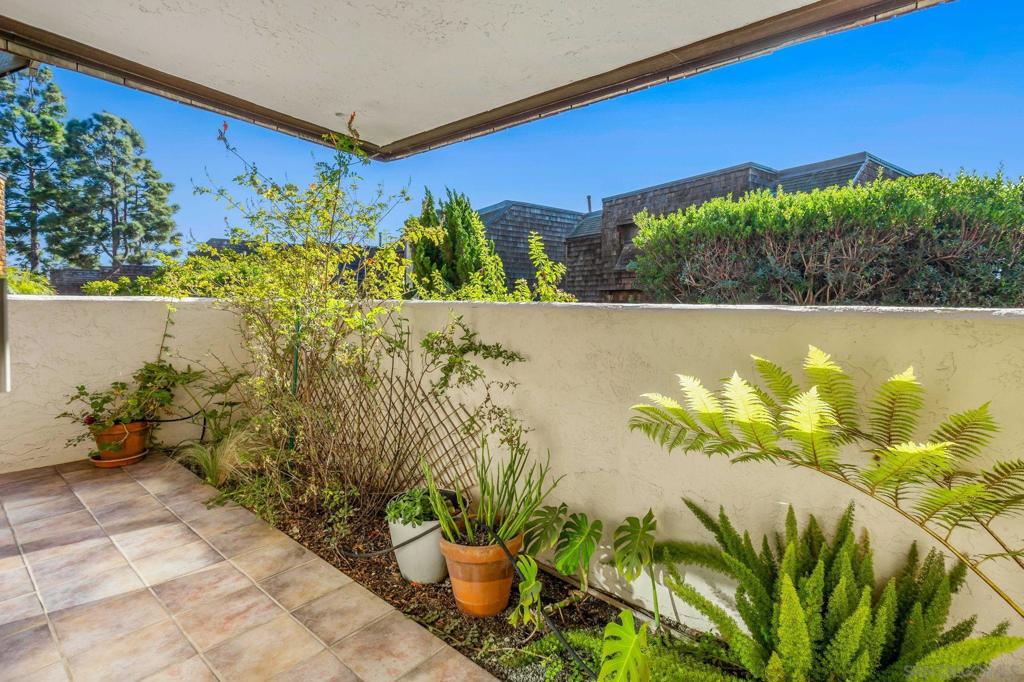 12933 Caminito Del Canto Property Photo 25