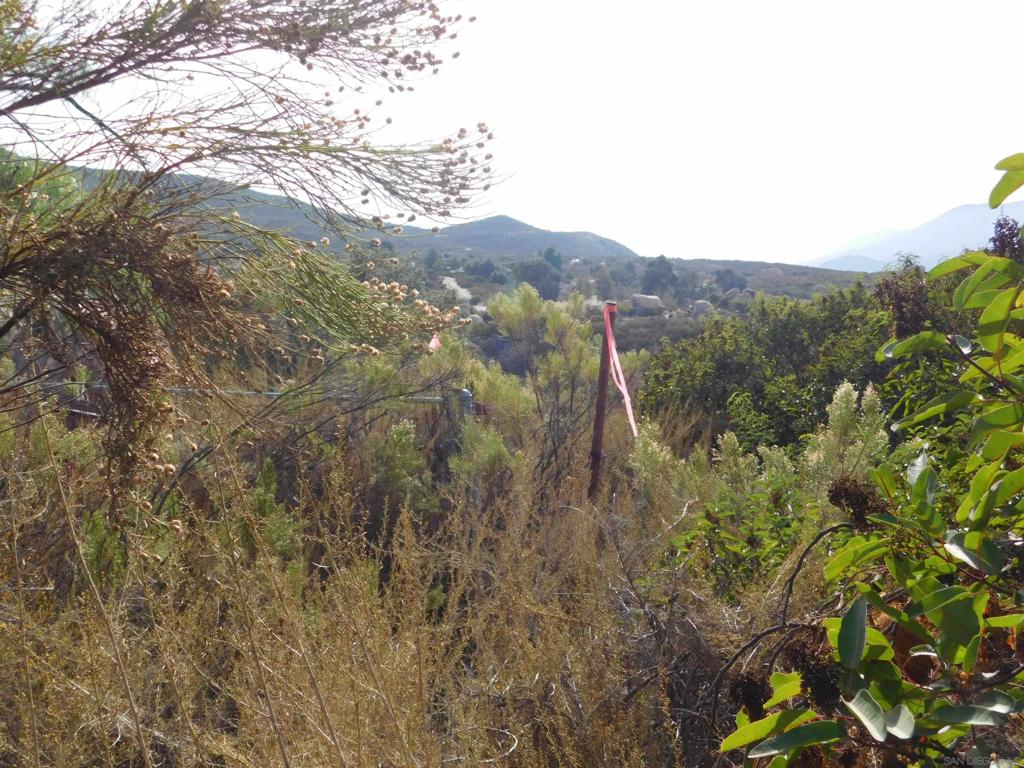 Honey Springs Rd Property Photo 5