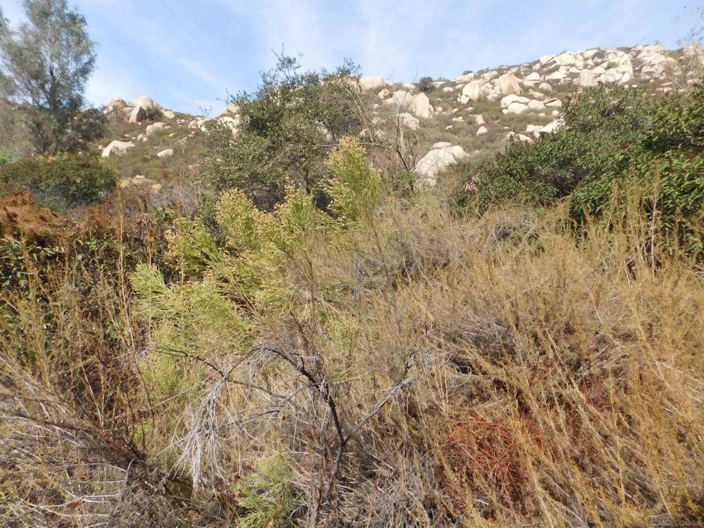 Honey Springs Rd Property Photo 8
