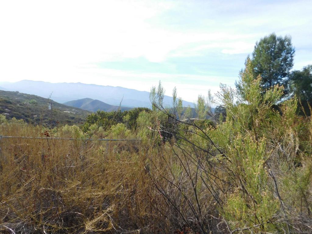 Honey Springs Rd Property Photo 9