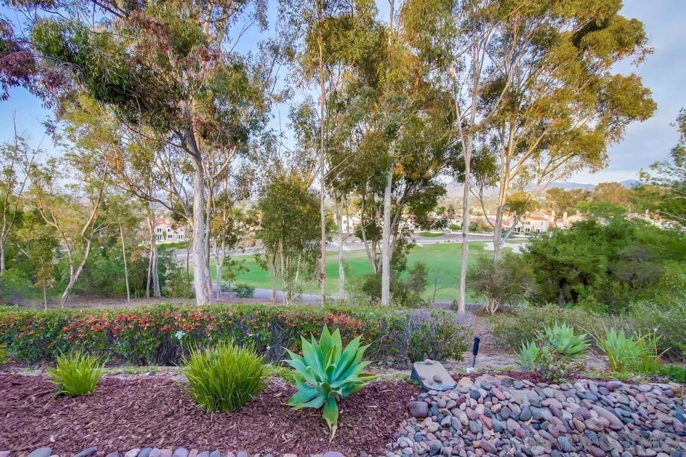 12242 Paseo Lucido C Property Photo 39