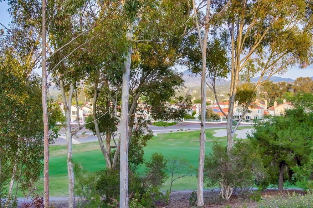 12242 Paseo Lucido C Property Photo 42