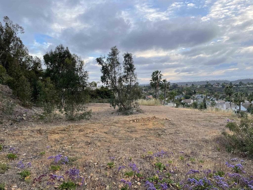 0 Cadencia St. Between 7402-7412 Property Photo 3