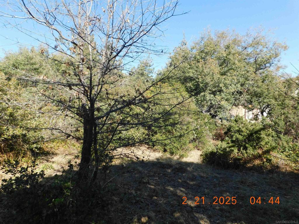 1700 Whispering Pines Dr. Property Photo