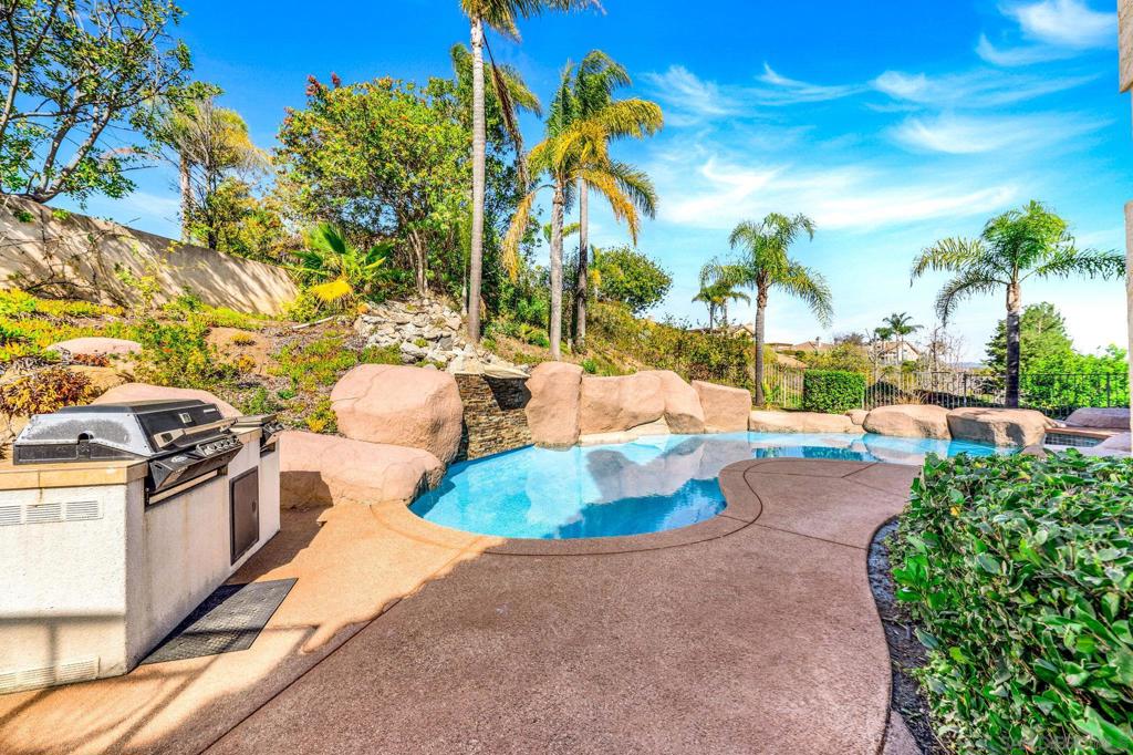 3176 Via Montaneta Property Photo 43