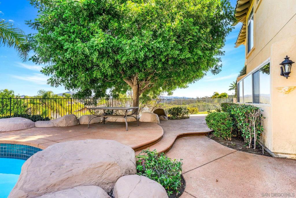 3176 Via Montaneta Property Photo 44