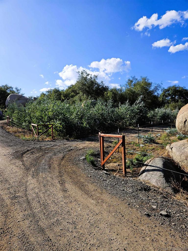 2562 Donnil Ln Property Photo