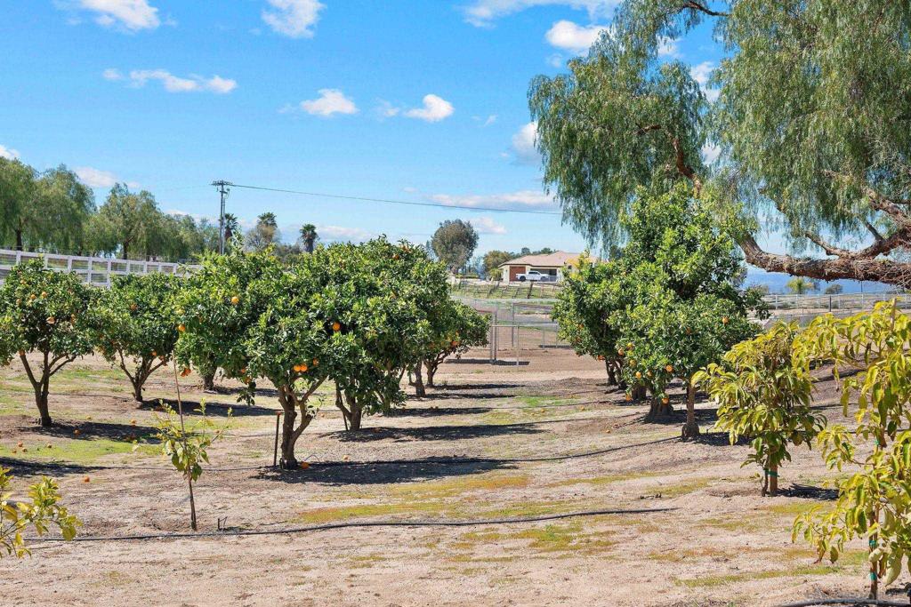 34020 Madera De Playa Property Photo 24