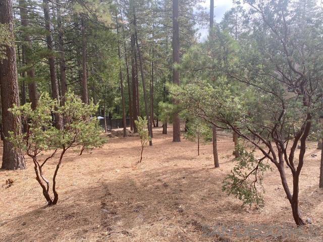 0 Big Pine Property Photo 1