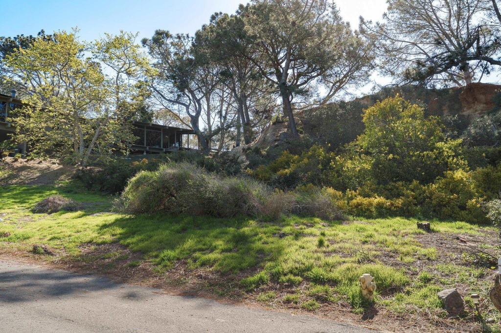 0 Hidden Pines Rd Property Photo 1