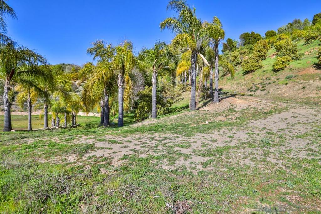 44945 Palladian Ct Property Photo 7