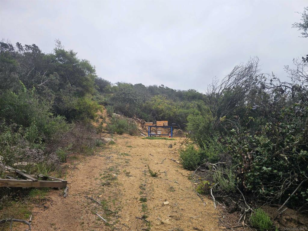 6465 Rainbow Heights Rd Property Photo 7