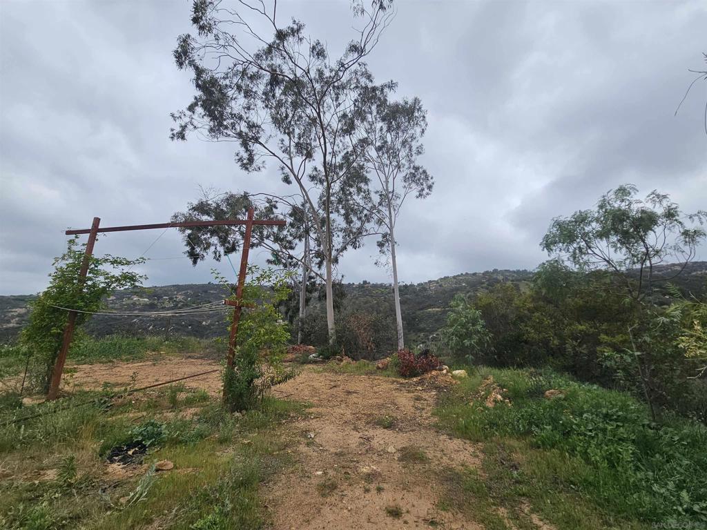 6465 Rainbow Heights Rd Property Photo 22