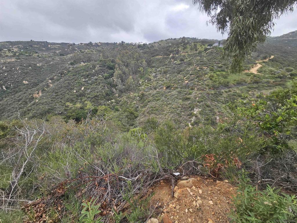 6465 Rainbow Heights Rd Property Photo 25
