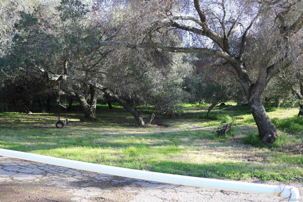 38083 De Luz Rd Property Photo 27