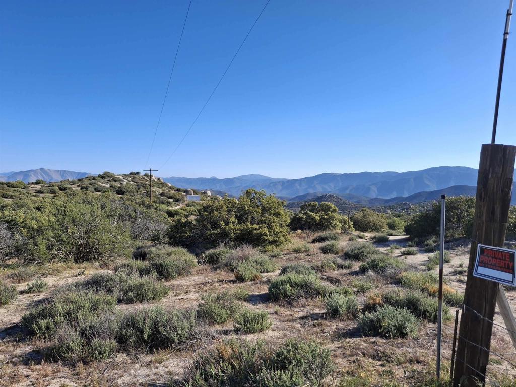 36151 Old Wilson Road Property Photo 1