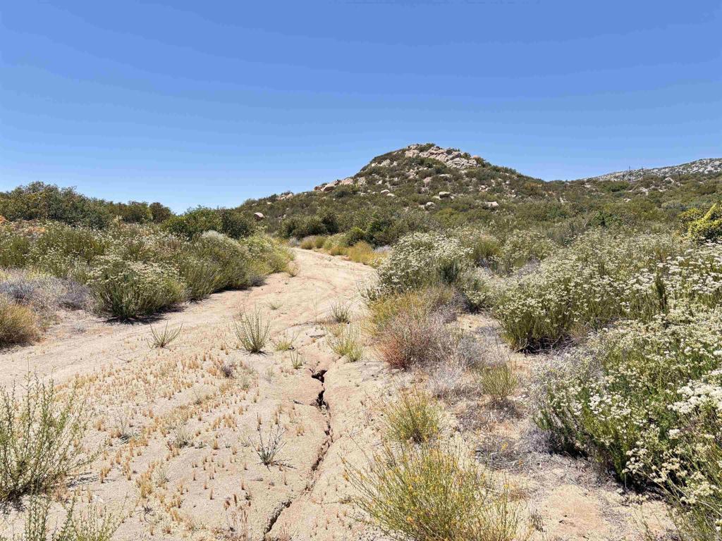 0 Hwy 94 Property Photo 2
