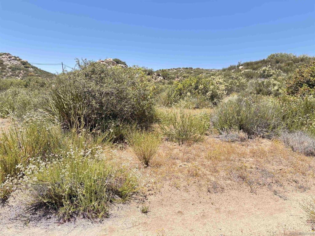 0 Hwy 94 Property Photo 3