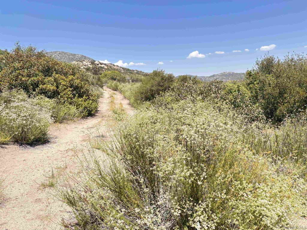 0 Hwy 94 Property Photo 4