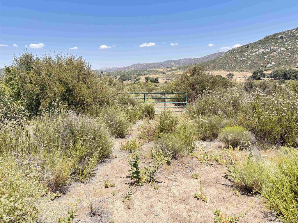 0 Hwy 94 Property Photo 5
