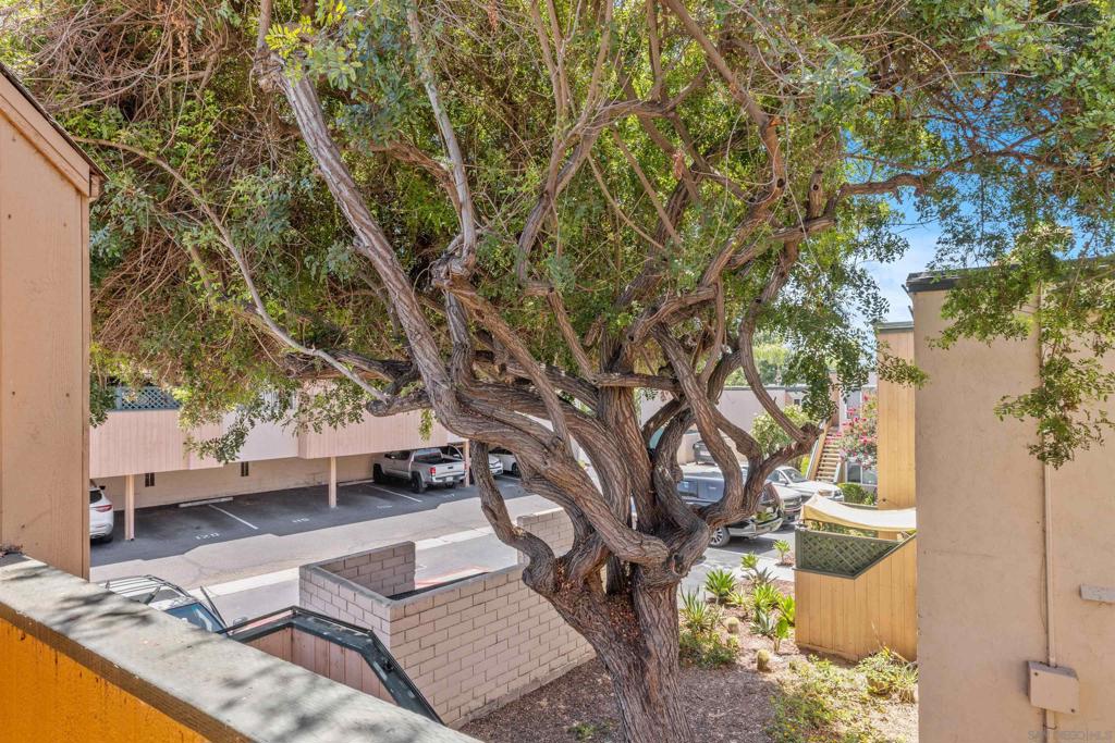 8737 Lake Murray Blvd 7 Property Photo 25