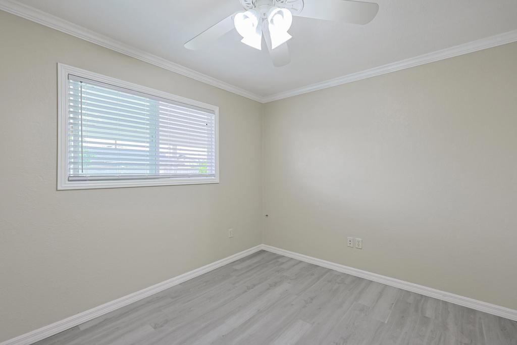 819 Daisy St Property Photo 23
