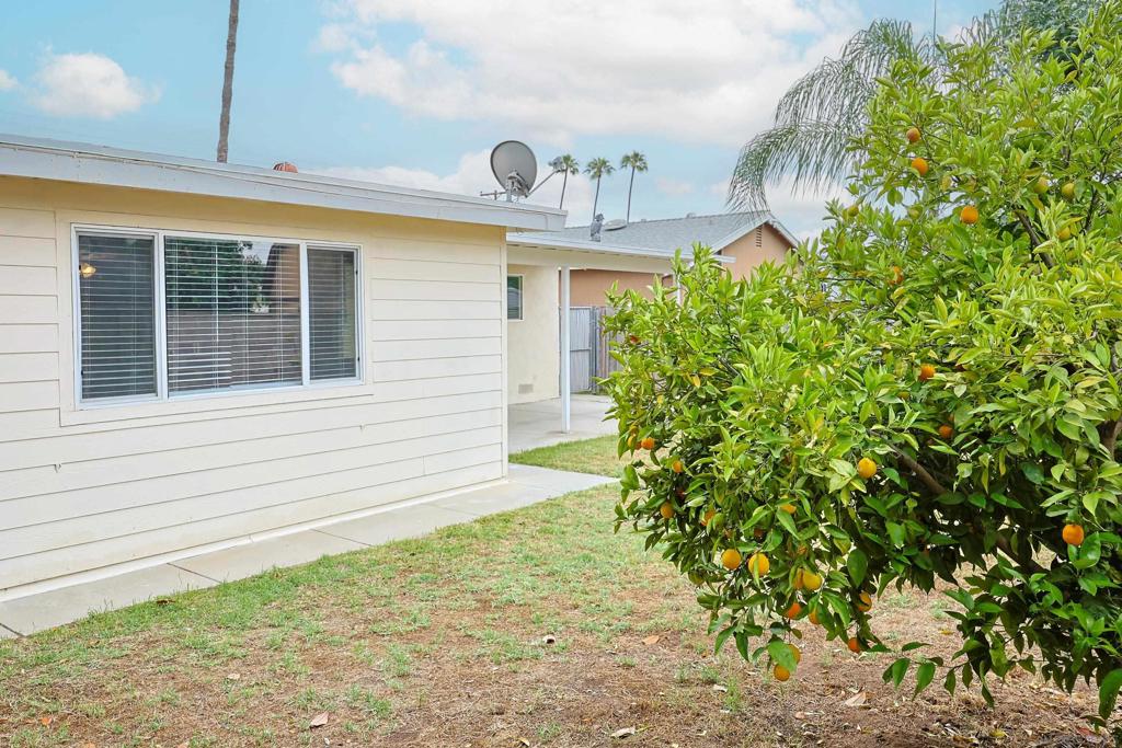 819 Daisy St Property Photo 35