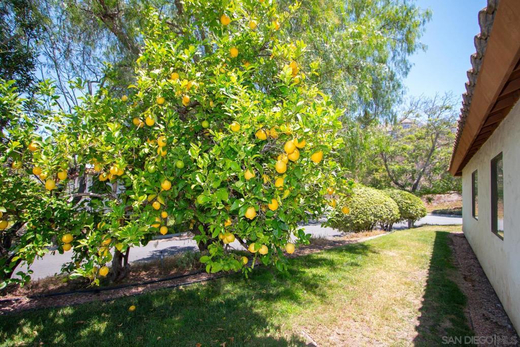 1115 Inspiration Lane Property Photo 36