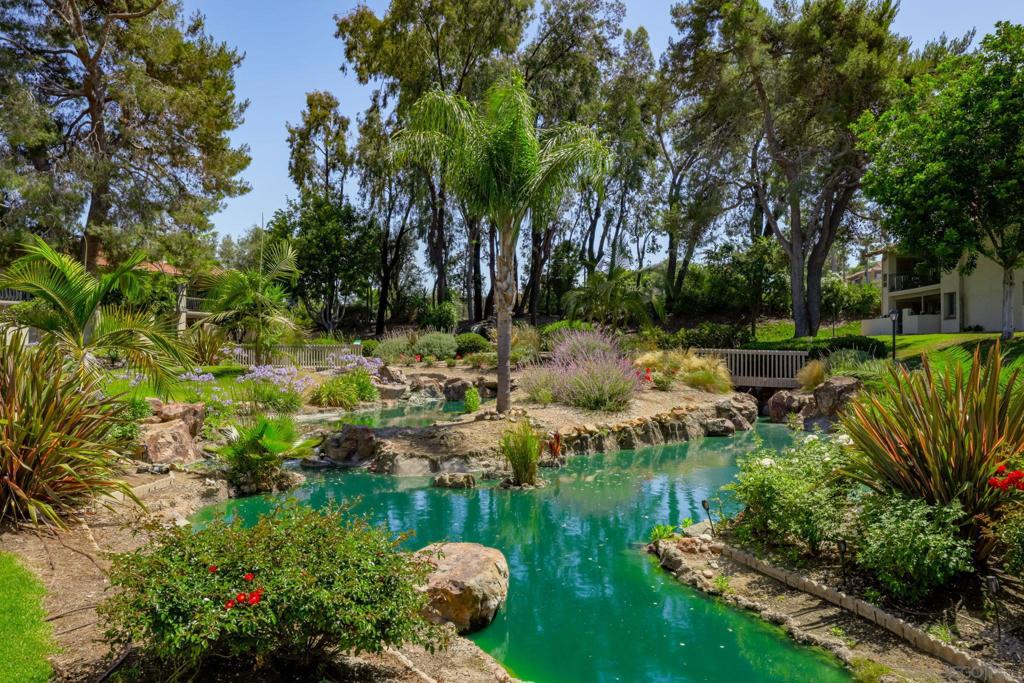 12093 Caminito Campana Property Photo 23