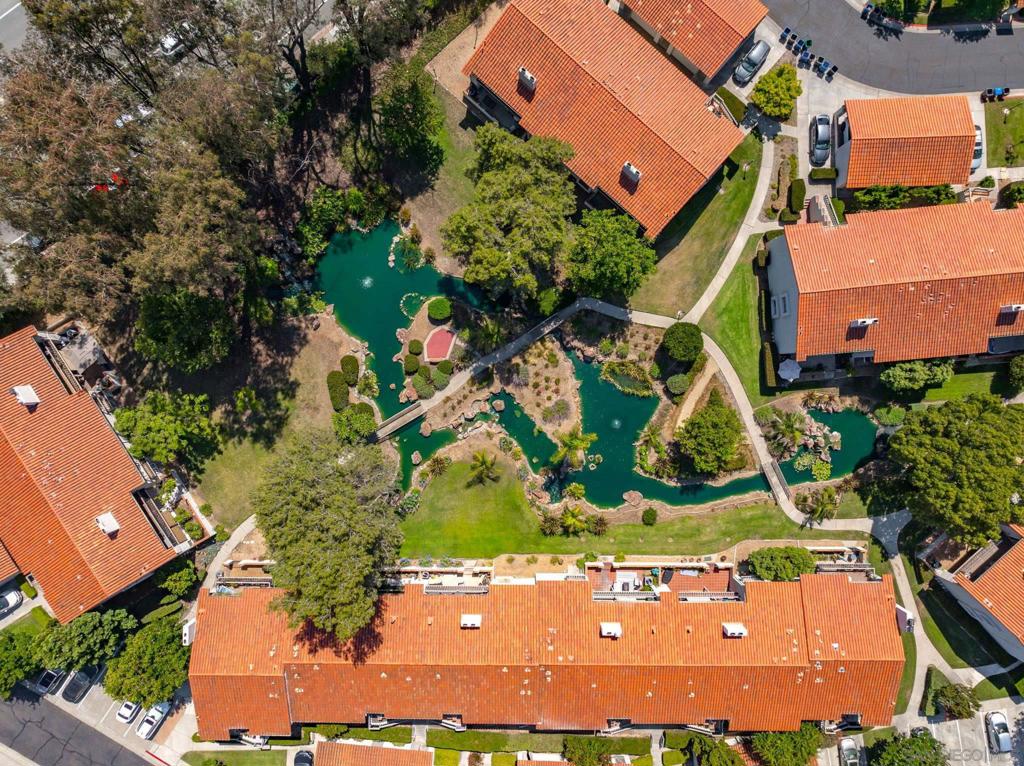 12093 Caminito Campana Property Photo 29