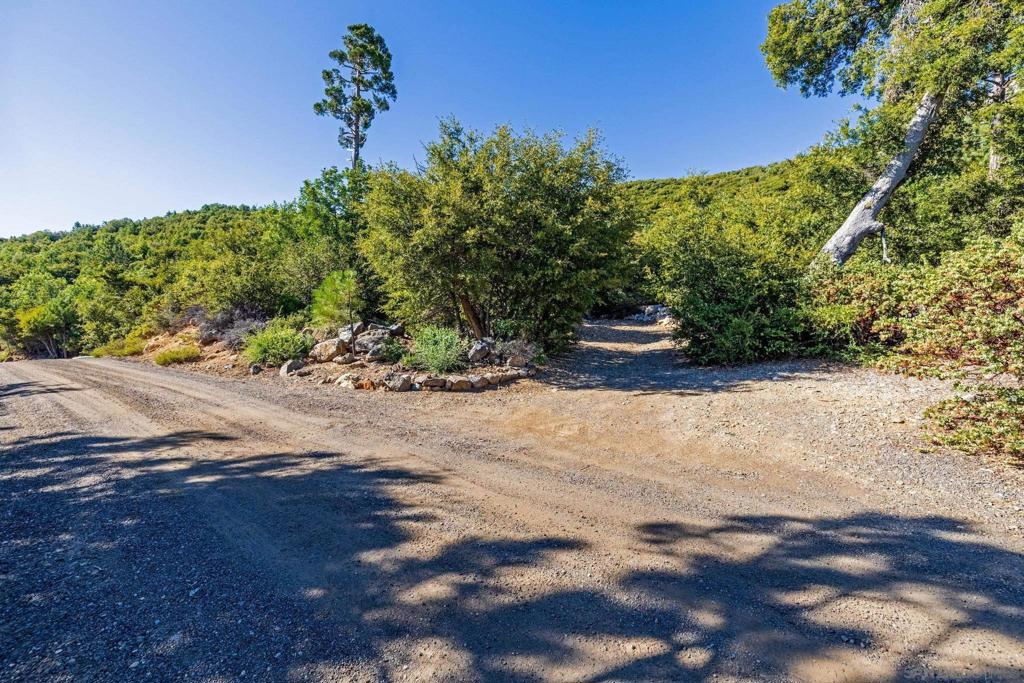 35925 Mountain Circle Dr Property Photo 5