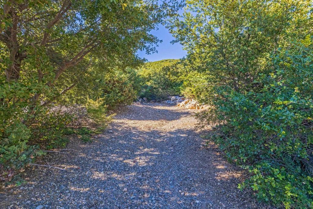 35925 Mountain Circle Dr Property Photo 6
