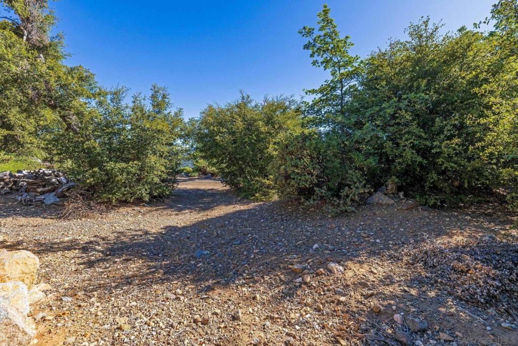 35925 Mountain Circle Dr Property Photo 7