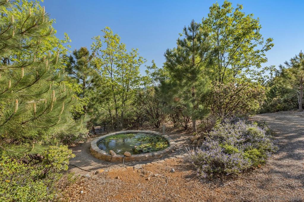 35750 Mountain Circle Drive Property Photo 40