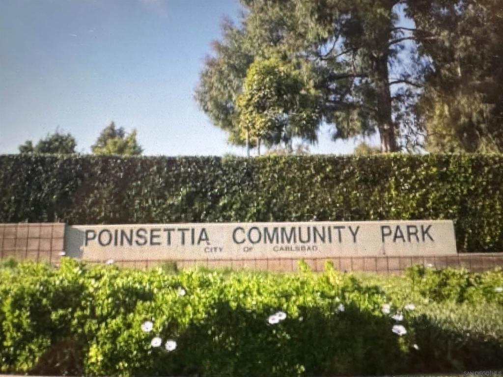 6915 Pear Tree Dr Property Photo 32