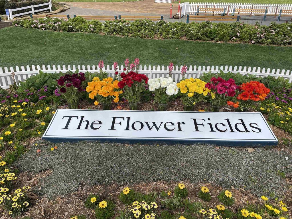 6915 Pear Tree Dr Property Photo 34